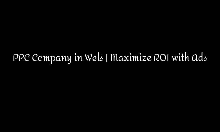 PPC Company in Wels | Maximize ROI with Ads