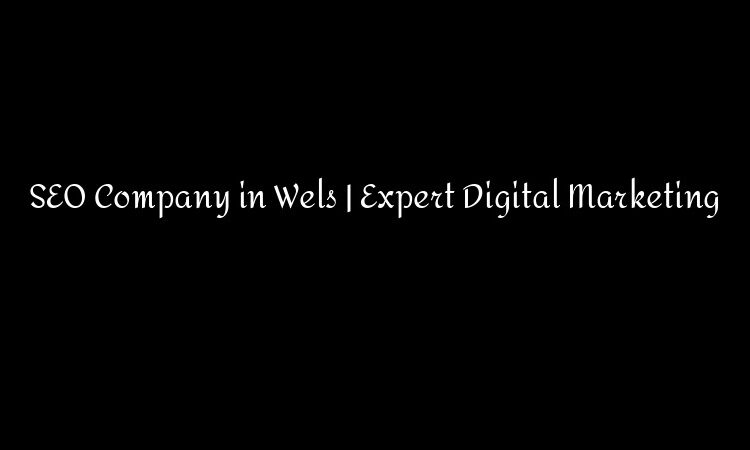 SEO Company in Wels | Expert Digital Marketing