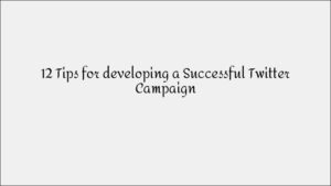 12 Pro Tips for Running a Successful Twitter Campaign