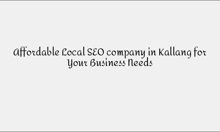 Affordable Local SEO company in Kallang for Your Business Needs