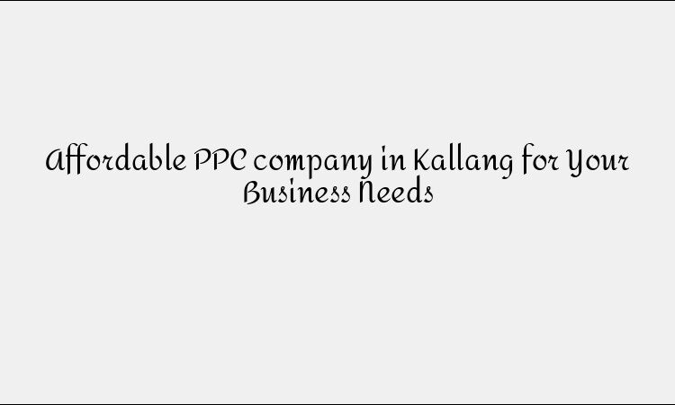 Affordable PPC company in Kallang for Your Business Needs