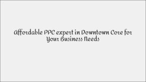 Changi Local SEO Services - Airport & Business District Visibility