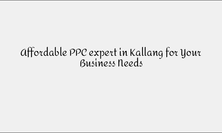 Affordable PPC expert in Kallang for Your Business Needs
