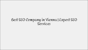 SEO Company in Vienna - Premium Search Optimization Services