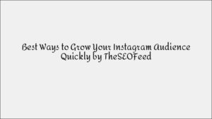 How to Grow Your Instagram Audience Quickly & Effectively