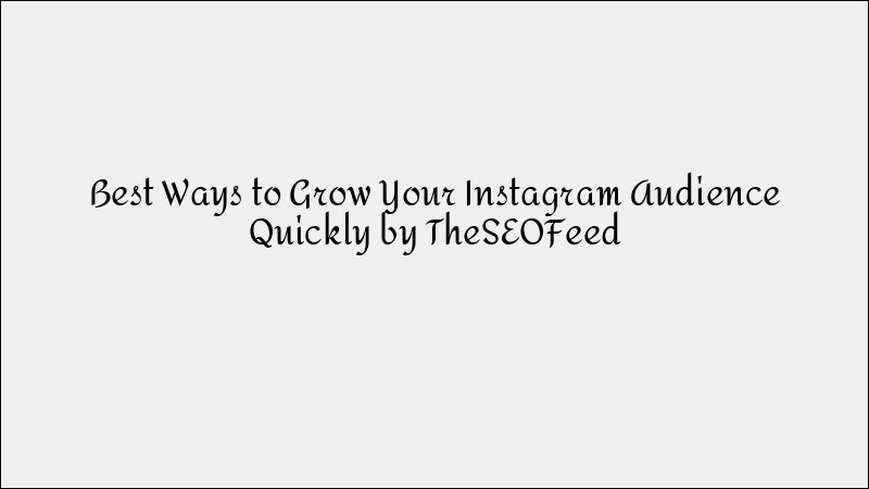 How to Grow Your Instagram Audience Quickly & Effectively