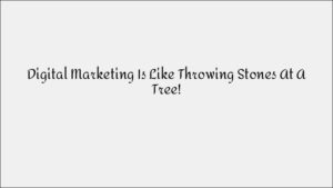 Digital Marketing is Like Throwing Stones at a Tree: Finding Your Target Audience