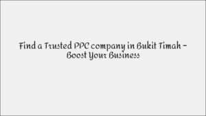 SEO Expert in Queenstown