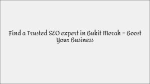 SEO Expert for Museum District Businesses