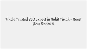 Expert SEO Consultant in River Valley