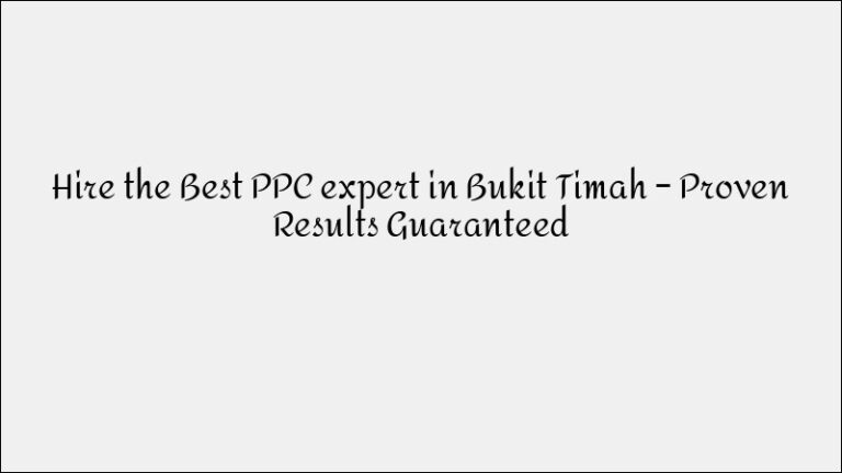 Performance-Focused PPC Company in Rochor