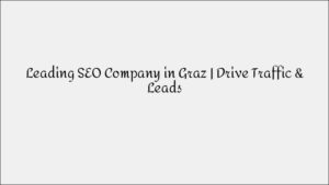 SEO Company in Graz - Professional Optimization Services