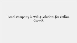 Local Company in Wels - Solutions For Online Business Growth