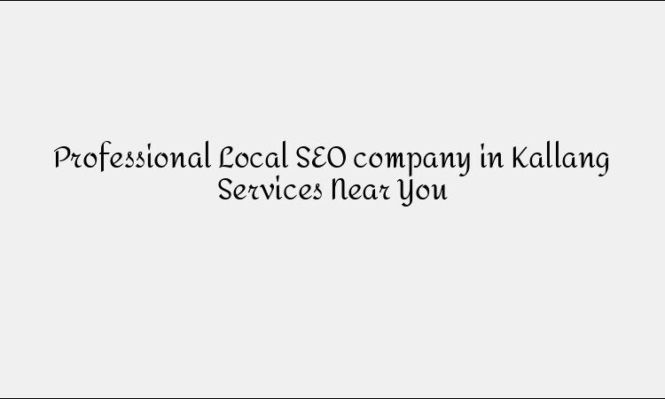 Professional Local SEO company in Kallang Services Near You