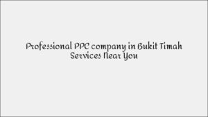 Queenstown PPC Specialist