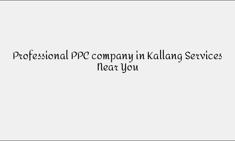 Professional PPC company in Kallang Services Near You