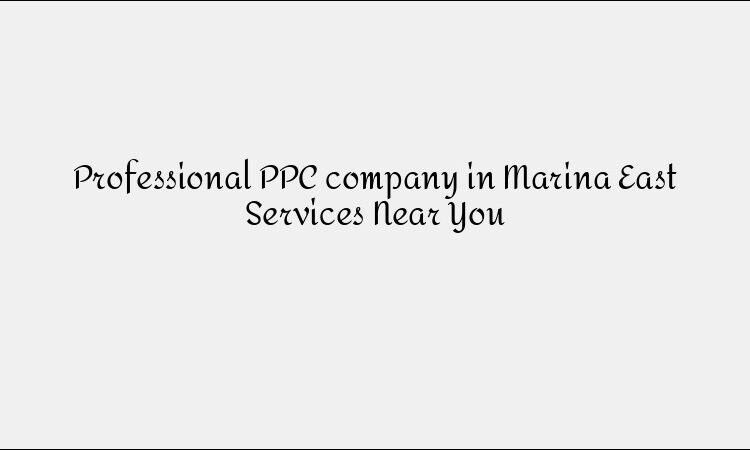 Professional PPC company in Marina East Services Near You