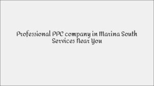 Experienced PPC Expert in Serangoon: Google Ads Management for Local Businesses
