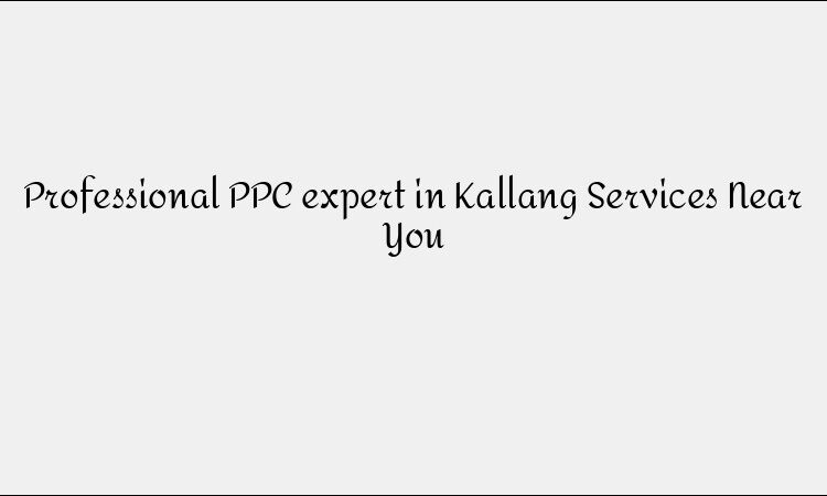 Professional PPC expert in Kallang Services Near You