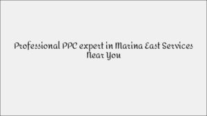 Experienced PPC Expert in Punggol: Maximize Your Ad ROI