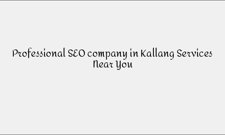 Professional SEO company in Kallang Services Near You