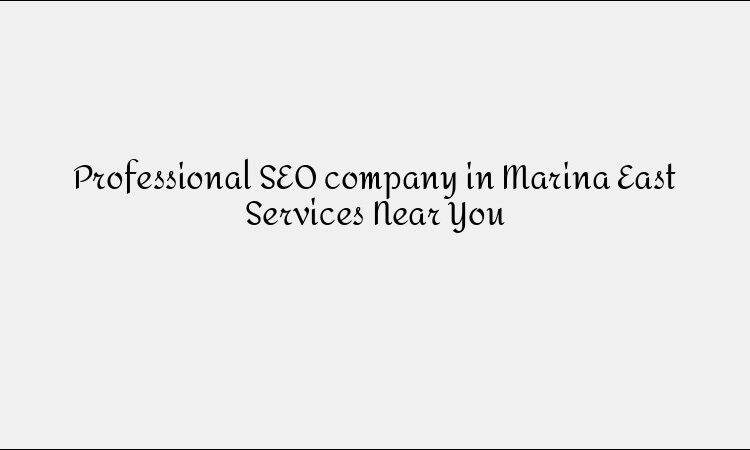 Professional SEO company in Marina East Services Near You