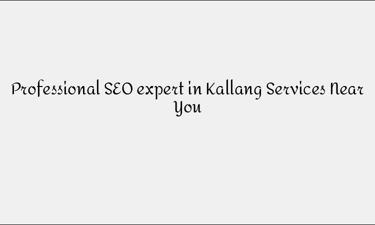 Professional SEO expert in Kallang Services Near You