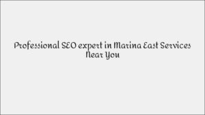 Experienced PPC Expert in Hougang: Google Ads Management for Local Businesses