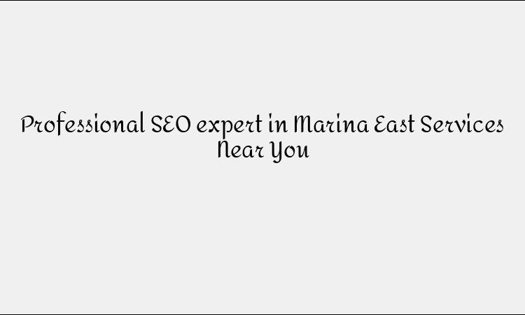 Professional SEO expert in Marina East Services Near You