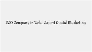 SEO Company in Wels – Expert Digital Marketing Solutions