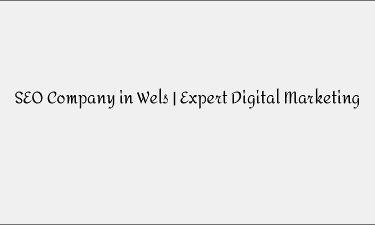 SEO Company in Wels | Expert Digital Marketing