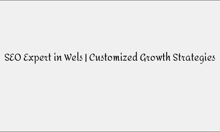 SEO Expert in Wels | Customized Growth Strategies