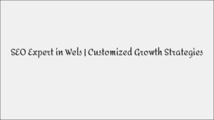 SEO Expert in Wels – Customized Growth Strategies