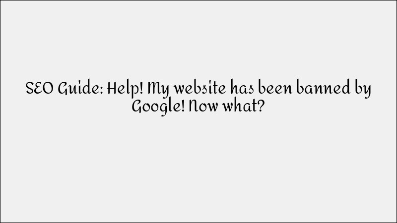 Website Banned by Google? Here's What to Do Next