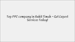 Professional SEO Company in Queenstown