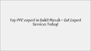 Leading SEO Company in Newton