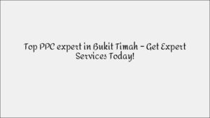 Top-Ranked SEO Company in Rochor