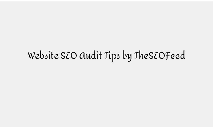 Website SEO Audit Tips by TheSEOFeed