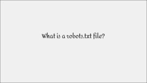 What Is a Robots.txt File & How It Affects SEO