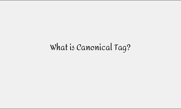 What Is a Canonical Tag? SEO Best Practices