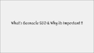 What is Barnacle SEO and Why It's Essential for Your Business Growth
